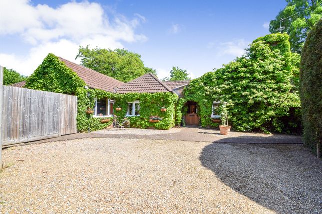 Tindal Close, Hampshire GU46 3 bed bungalow for sale