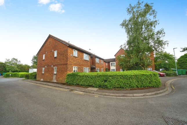 1 bed flat