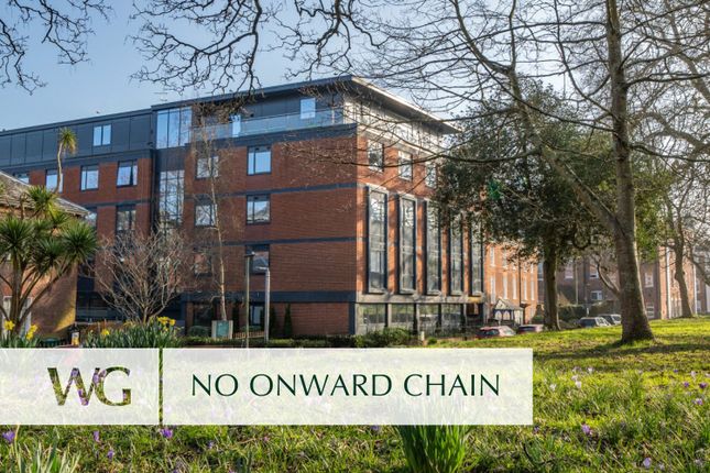 1 bed flat