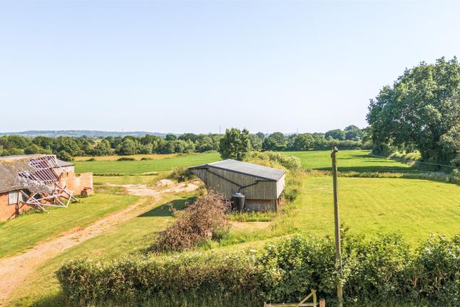 Land