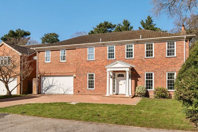 Pine Walk, Cobham, KT11 6 bed detached house for sale