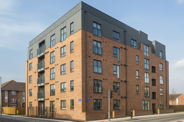 1 bed flat