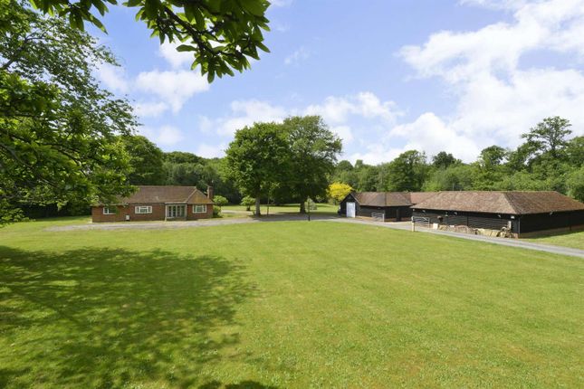 Plaistow Road, Dunsfold, Godalming 4 bed bungalow for sale