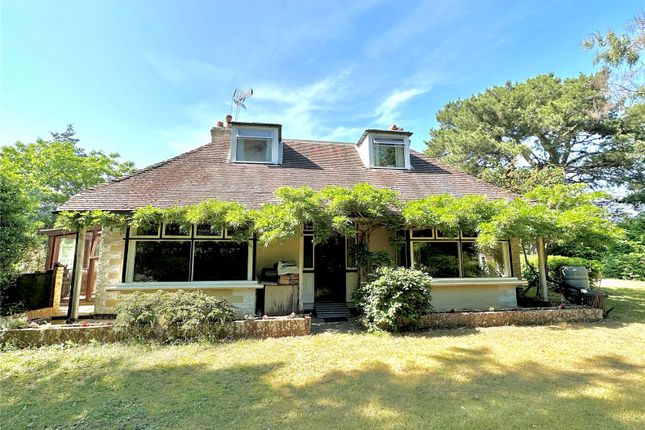 Beech Lane, St. Leonards, Ringwood, BH24 4 bed detached house for sale