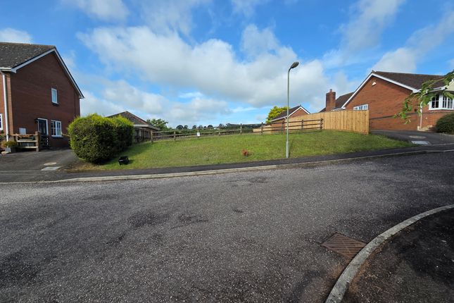 Plot for sale