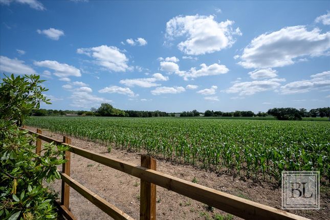 Oakfield Drive, Straight Road... 2 bed detached bungalow for sale