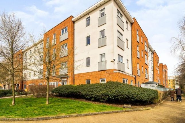 1 bed flat