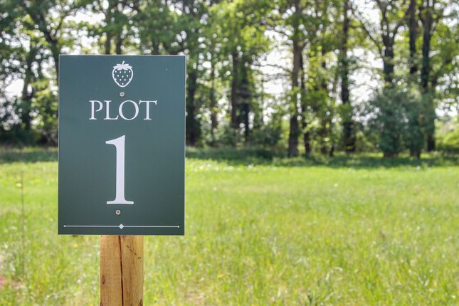 Strawberry Fields, Narford Road... Plot for sale