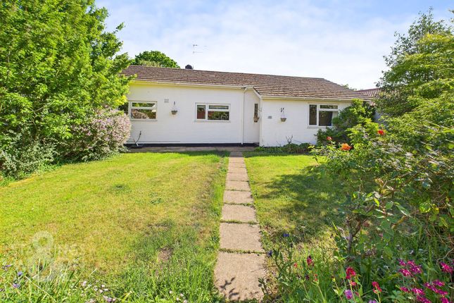 Sycamore Close, Norwich NR14 3 bed detached bungalow for sale