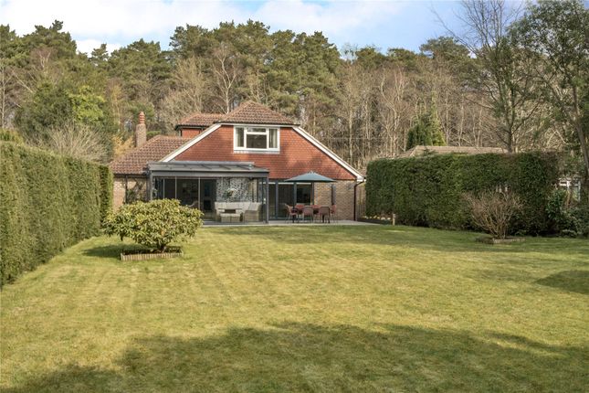 Grayshott Road, Hampshire GU35 4 bed bungalow for sale