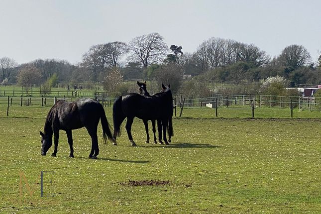 Round Street, Gravesend DA13 Farm land for sale
