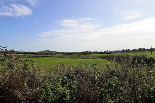 Land