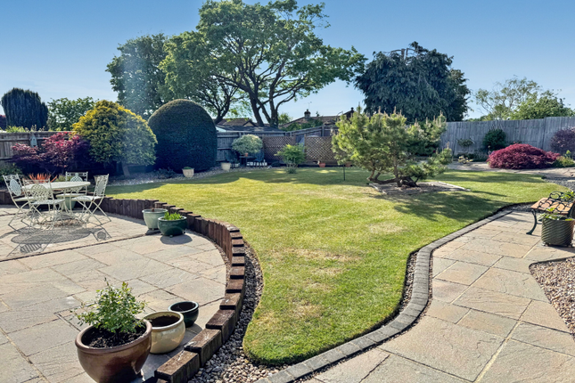 Chestnut Springs, Lydiard Millicent... 3 bed detached bungalow for sale
