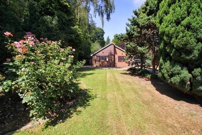 Gravesend Road, Wrotham TN15 3 bed detached bungalow for sale