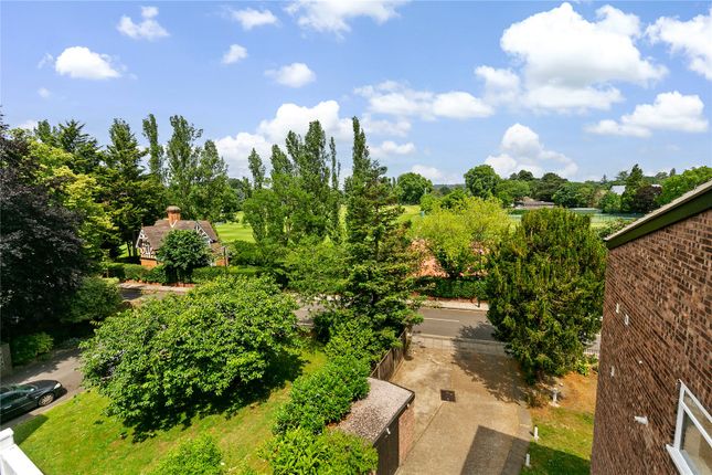 5 bed flat