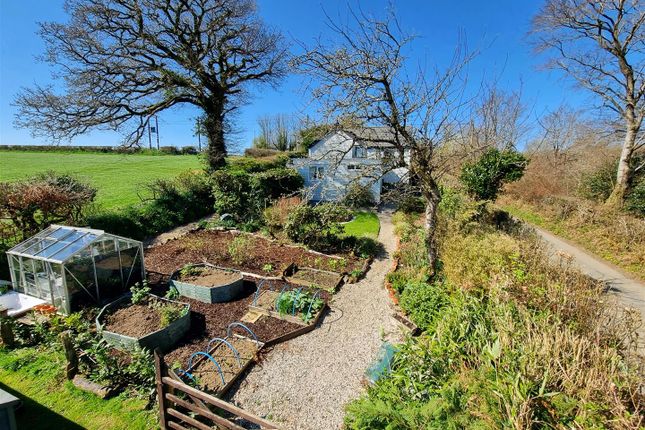 Navarino, North Petherwin 3 bed detached bungalow for sale
