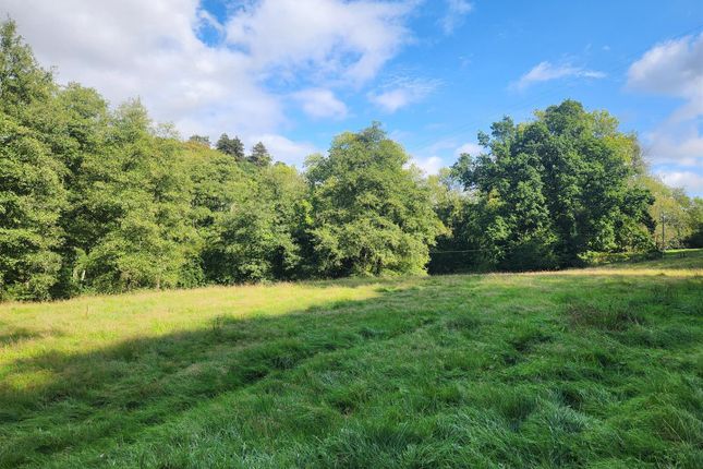 Mill Lane, Hawkley Land for sale