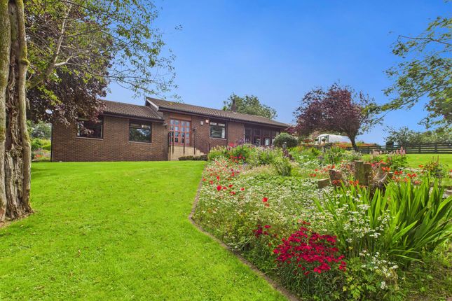 4 bedroom detached bungalow for sale