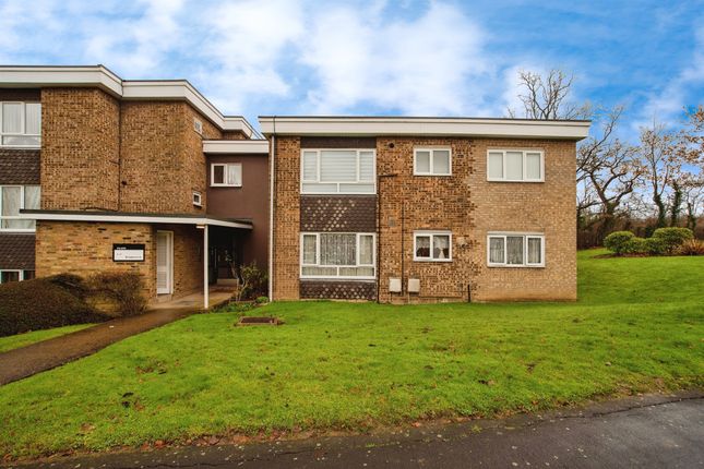 1 bed flat