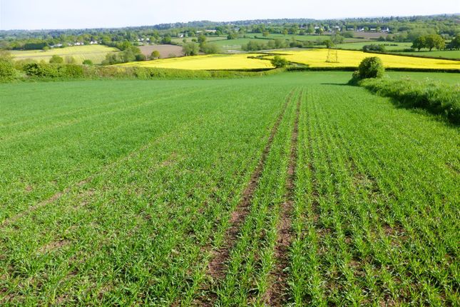 Land for sale