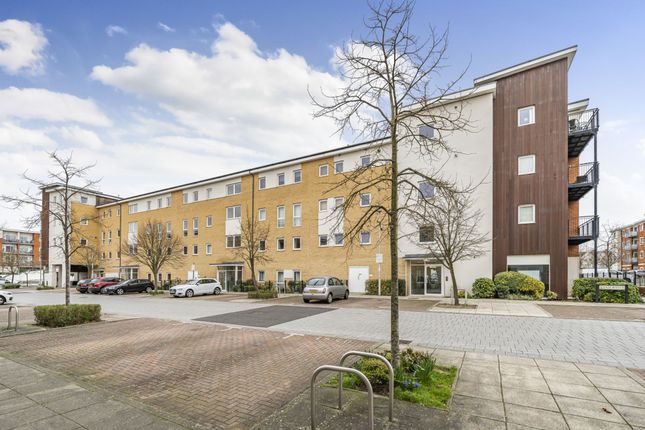 1 bed flat