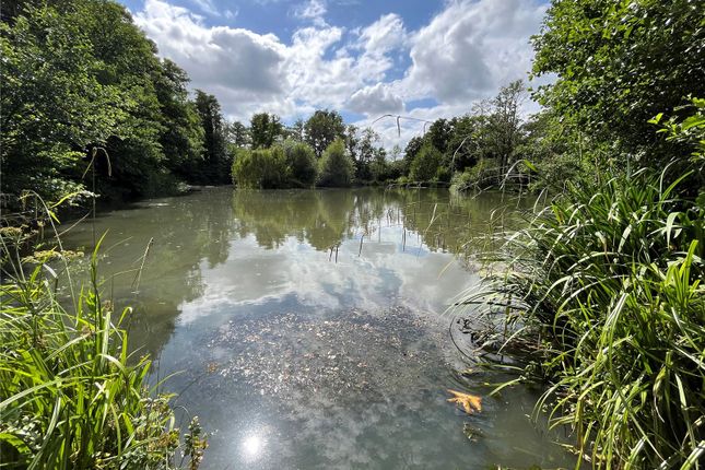 Mill Lane, Whatlington, Battle, East... Land for sale