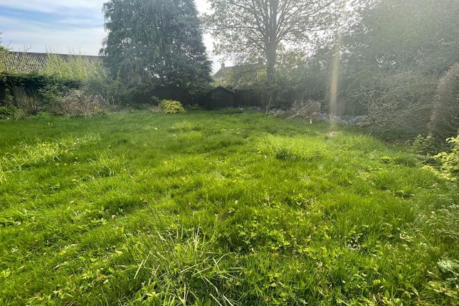 Land for sale