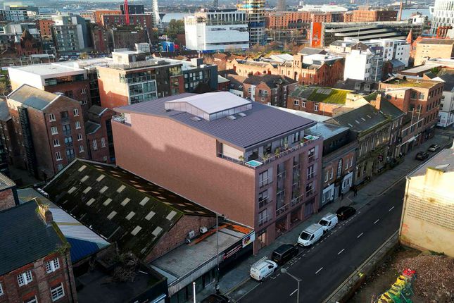 1 bed flat