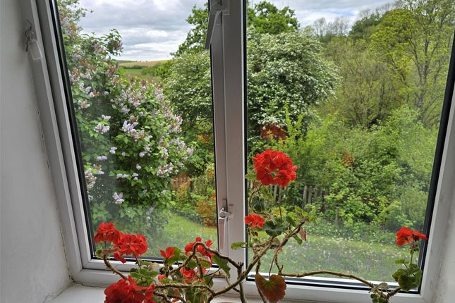 Burrington, Umberleigh, Devon, EX37 3 bed house for sale