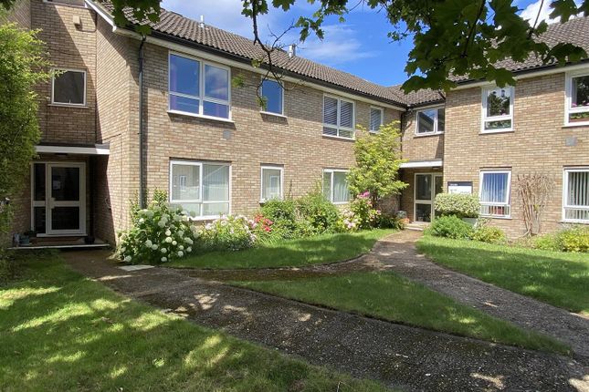 1 bed flat