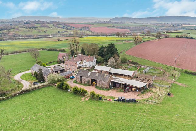 7 bed property