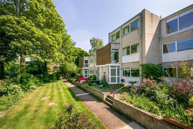 Eel Pie Island, Twickenham 6 bed terraced house for sale