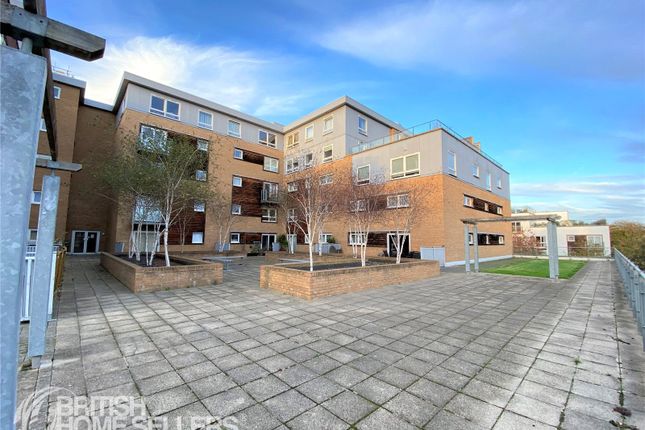 1 bed flat