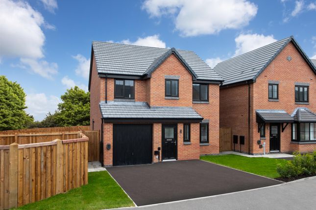 The Jasmine at The Academy, Lostock... 4 bed detached house for sale