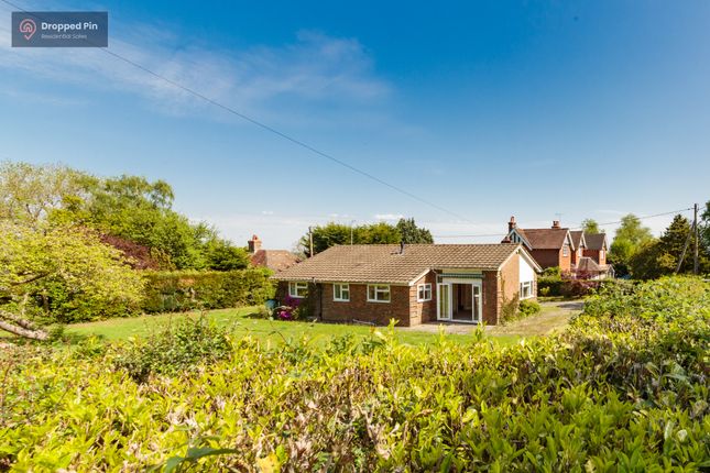 3 bed detached bungalow