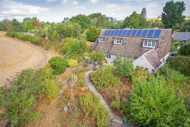 3 bed detached house