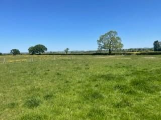 Plot for sale