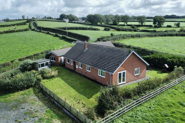 Llanon 3 bed property with land for sale