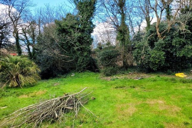 Ivy Lane, Penzance Plot for sale