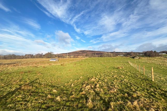 Plot for sale