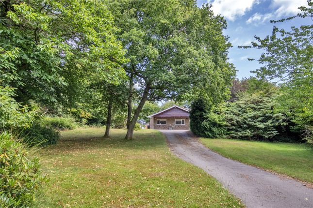 Warren Road, Crowborough, East... 4 bed bungalow for sale