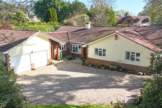 Broadlands Road, Brockenhurst, SO42 4 bed bungalow for sale