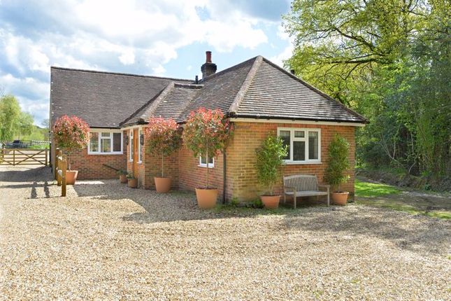Barhatch Road, Cranleigh 4 bed detached bungalow for sale