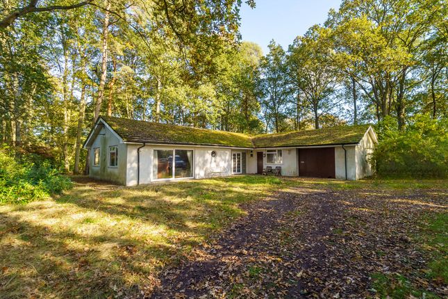 Honey Hill, Wokingham, RG40 4 bed detached bungalow for sale