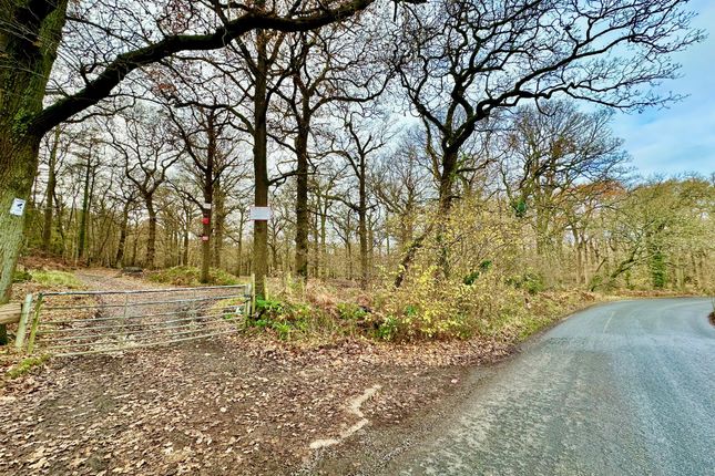 Land for sale