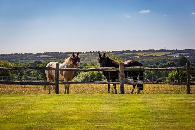 Henley Park, Normandy, Guildford... 5 bed farm house for sale