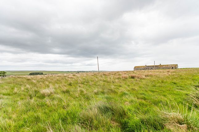 Lybster, Lybster, Highland. KW3 6DA Land for sale