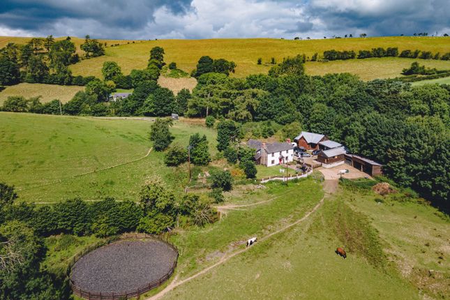 Bleddfa KNIGHTON LD7 1PA 5 bed property with land for sale