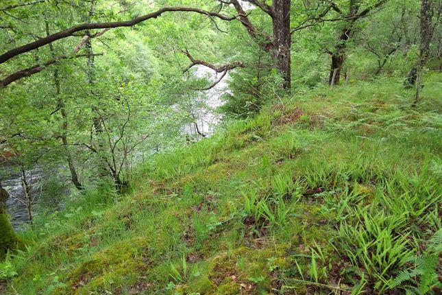 Land