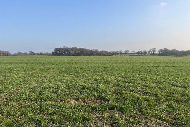Preston Candover Road, Upper Wield... Land for sale